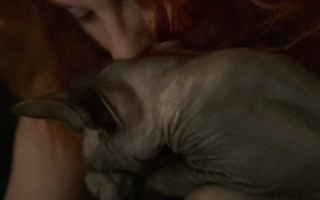 Mångalen eller skilda sovrum?